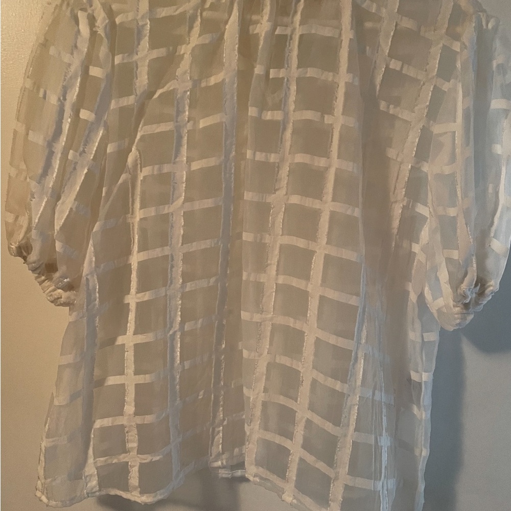 Gorgeous!!! New!! Elegant Sheer White Blouse. Anthropologie.